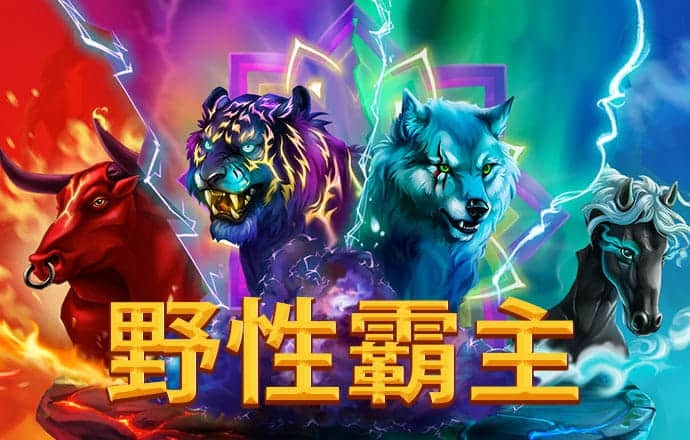 小金体育app官方下载